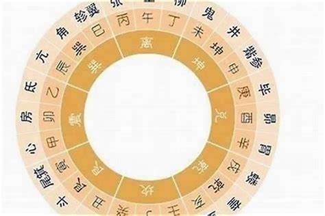 蛇生肖年份|属蛇的年份表 属蛇的年份表及年龄